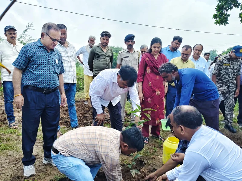 कलेक्टर और सीईओ ने रोपे पौधे